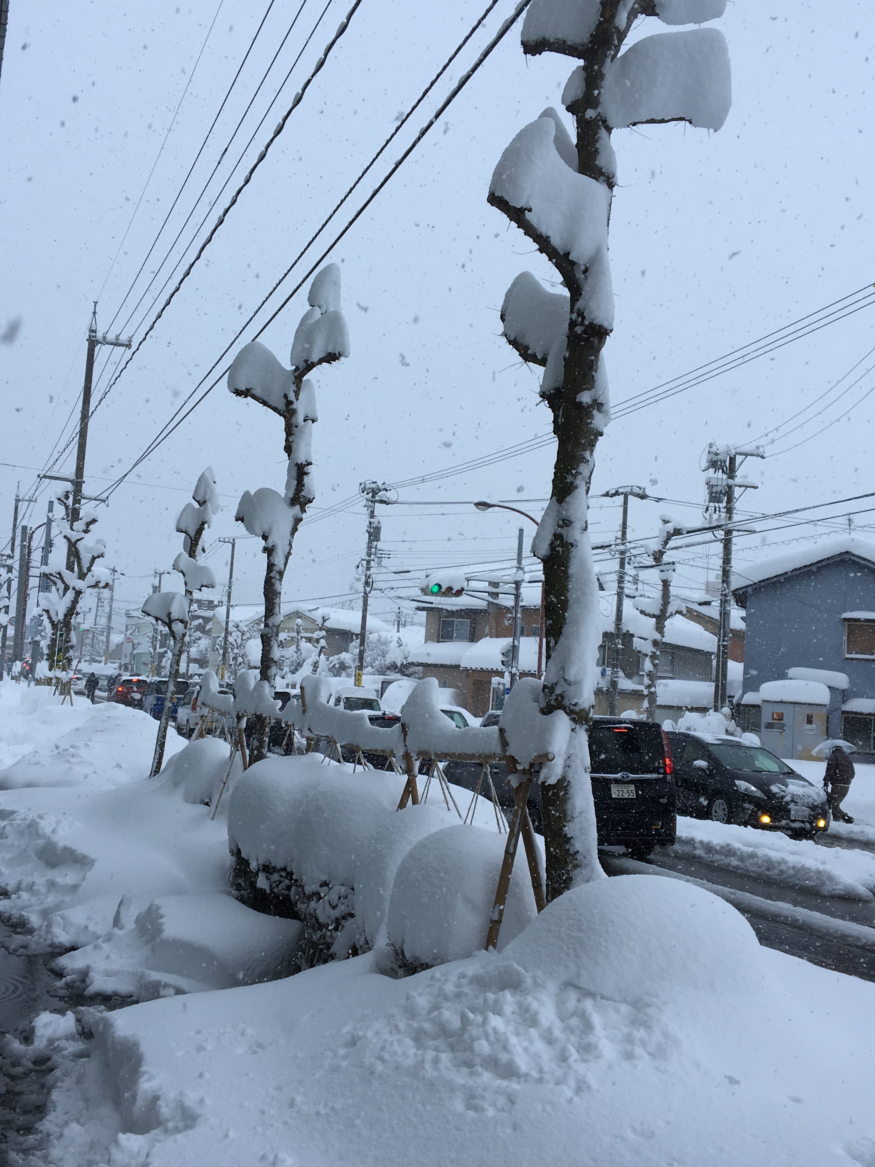 ２０１８年の大雪