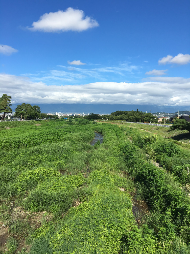 松本ラン